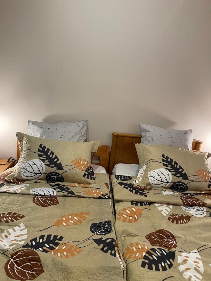 Appartement 3 Pieces Pour 1 A 5 Voyageurs Rillieux-la-Pape 外观 照片